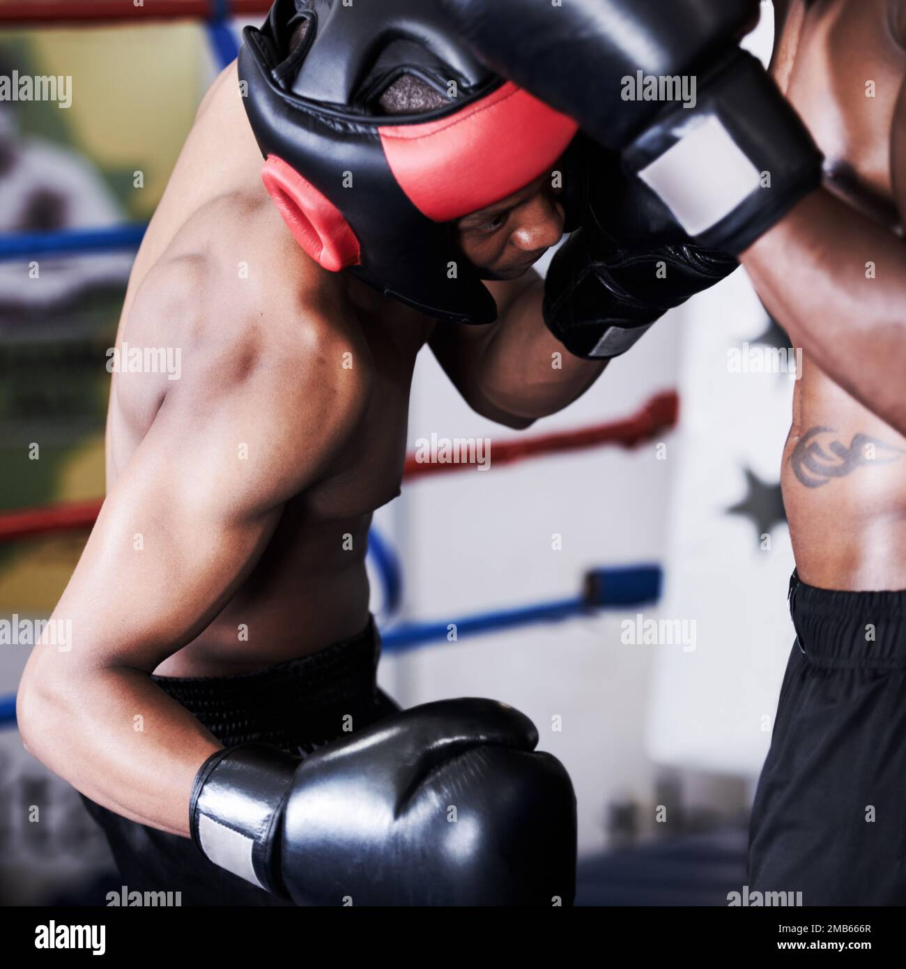 Ducking and diving. A boxer ducking to deliver a punch to his opponents midriff. Stock Photo