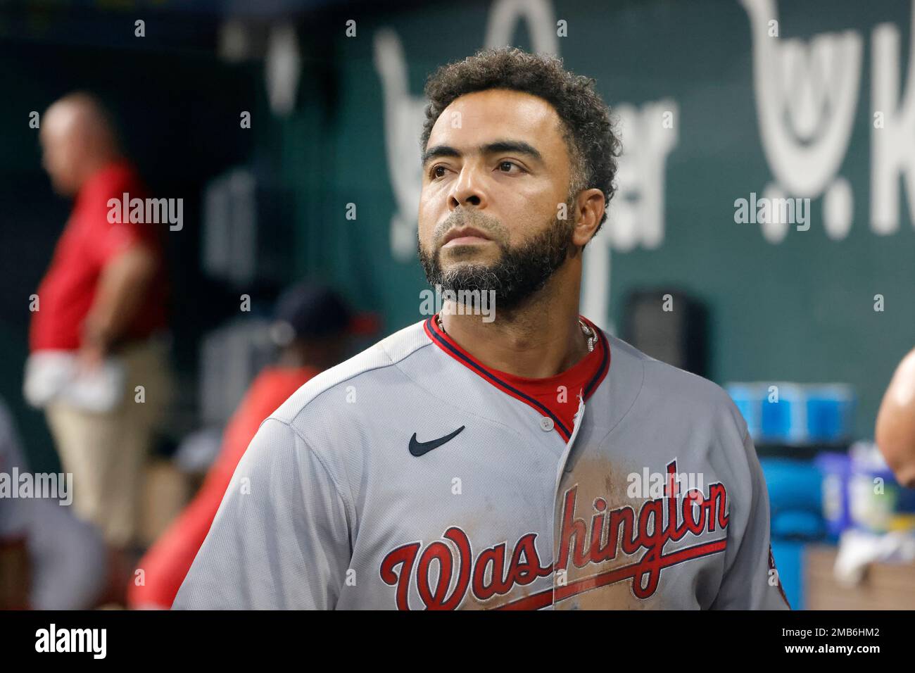 Washington Nationals' Nelson Cruz looks from the dugout during the fifth  inning of a baseball game against the Texas Rangers Sunday, June 26, 2022,  in Arlington, Texas. (AP Photo/Michael Ainsworth Stock Photo 