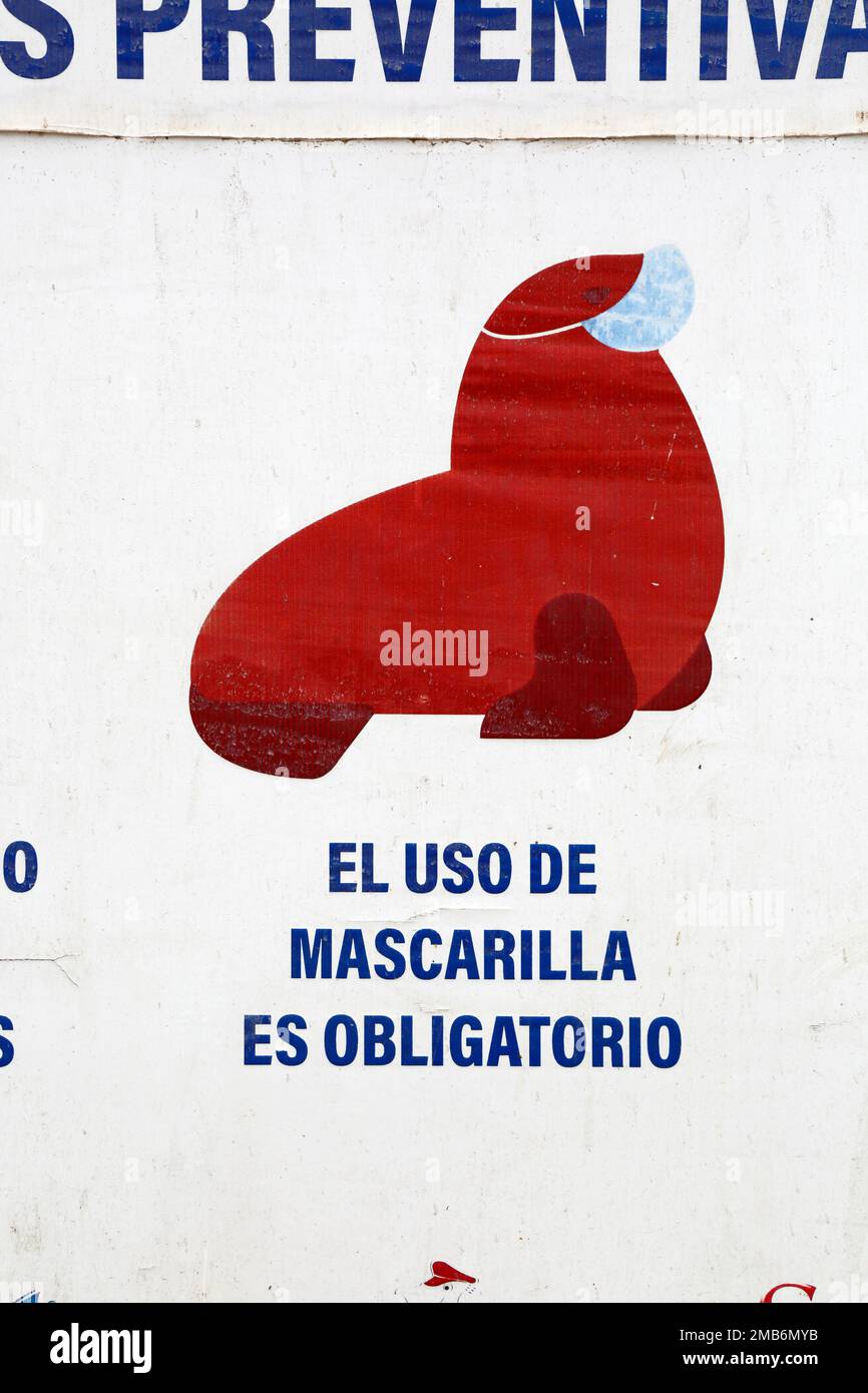 Detail of sealion wearing a face mask on sign with recommendations to prevent the spread of the covid-19 coronavirus in fishing docks, Caldera, Region III, Chile. Stock Photo