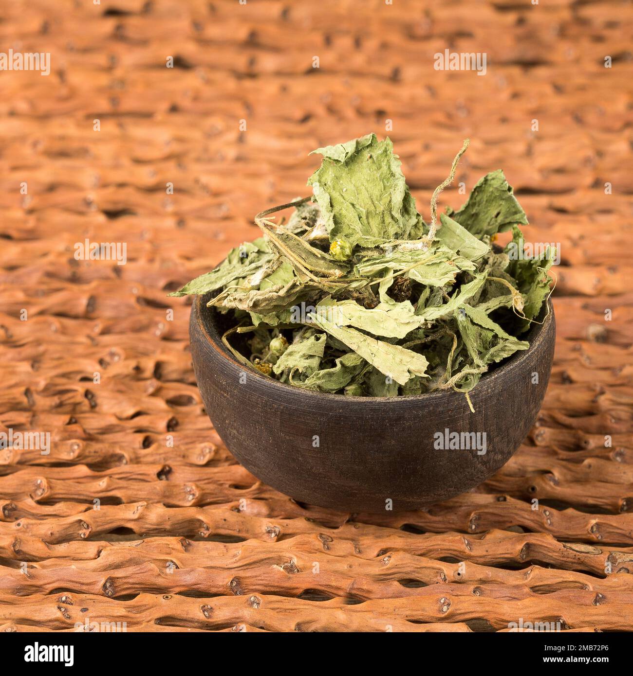 Galinsoga parviflora - Dried dehydrated leaves of guasca Stock Photo
