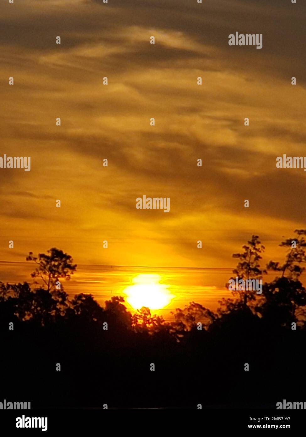 A vertical shot of a mesmerizing golden sunset with the silhouette of ...