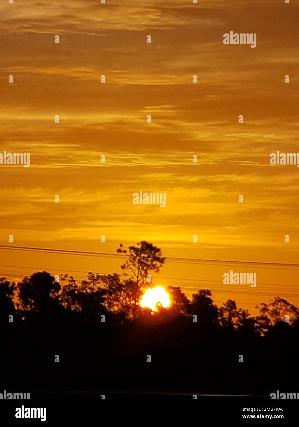 A vertical shot of a mesmerizing golden sunset with the silhouette of ...