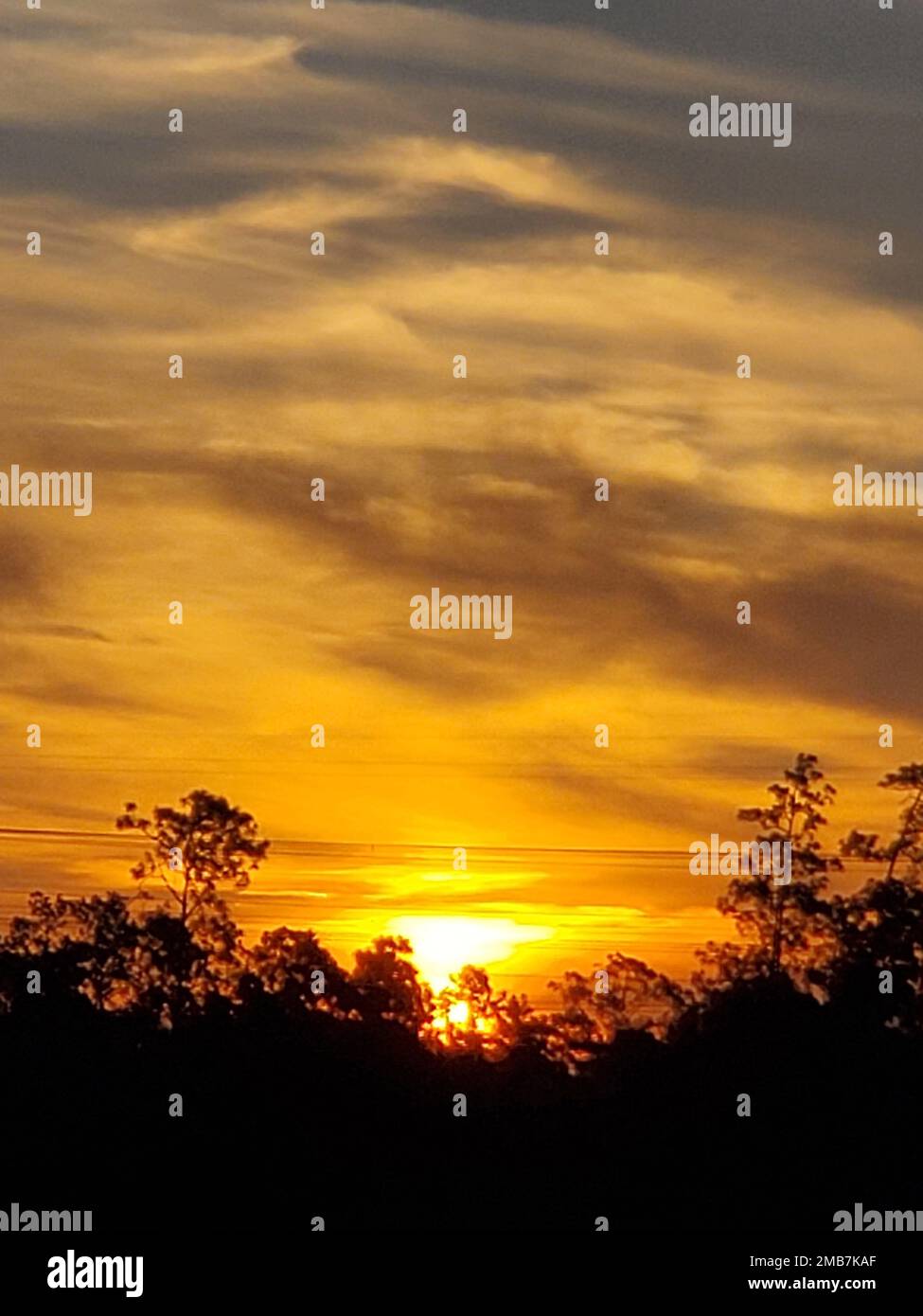 A vertical shot of a mesmerizing golden sunset with the silhouette of ...