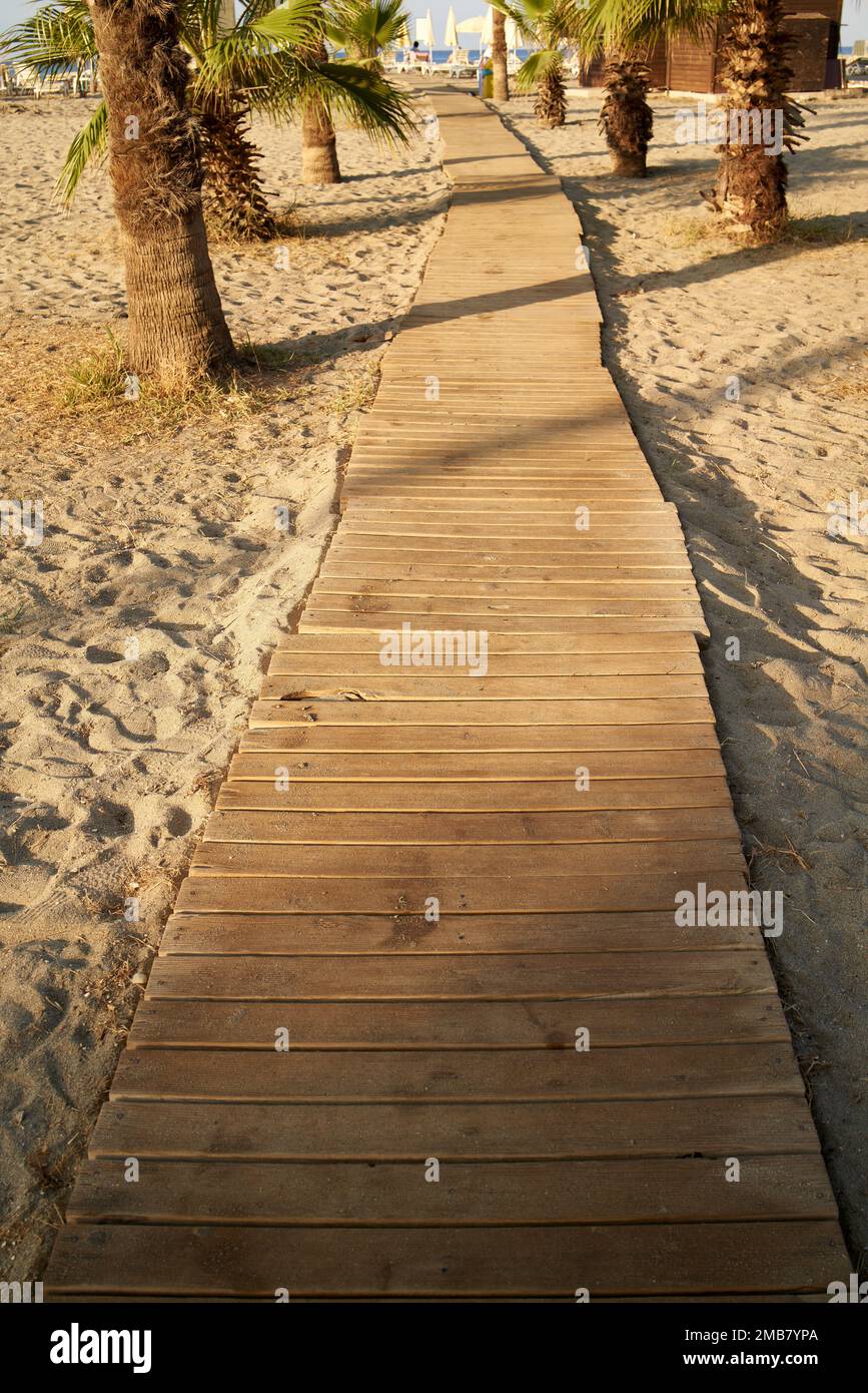 Wooden path on a tropical beach, with palm trees in the background ...