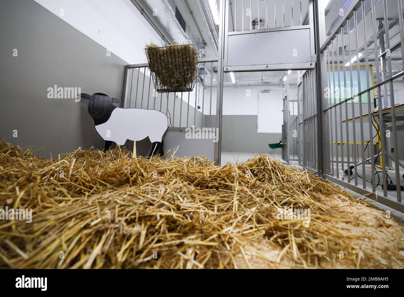 Hamburg, Germany. 20th Jan, 2023. A robot works in an automatic emptying and cleaning system for laboratory cages for mice during a press tour of the new building for research animal husbandry Hamburg, Germany. 20th Jan, 2023. A robot works in an automatic emptying and cleaning system for laboratory cages for mice during a press tour of the new building for research animal husbandry