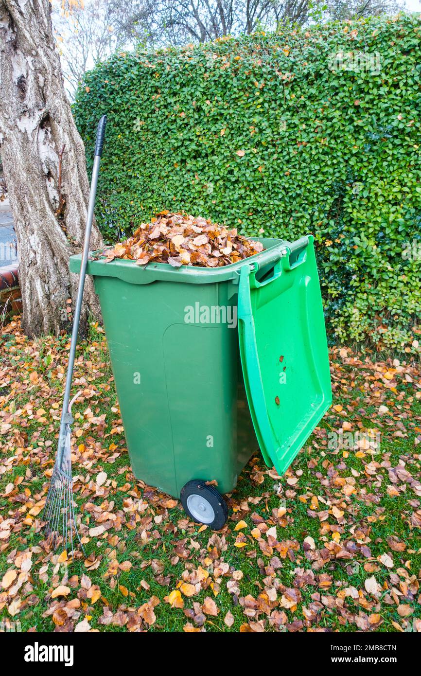 Recycling bin full of autumn leaves. UK Stock Photo Alamy