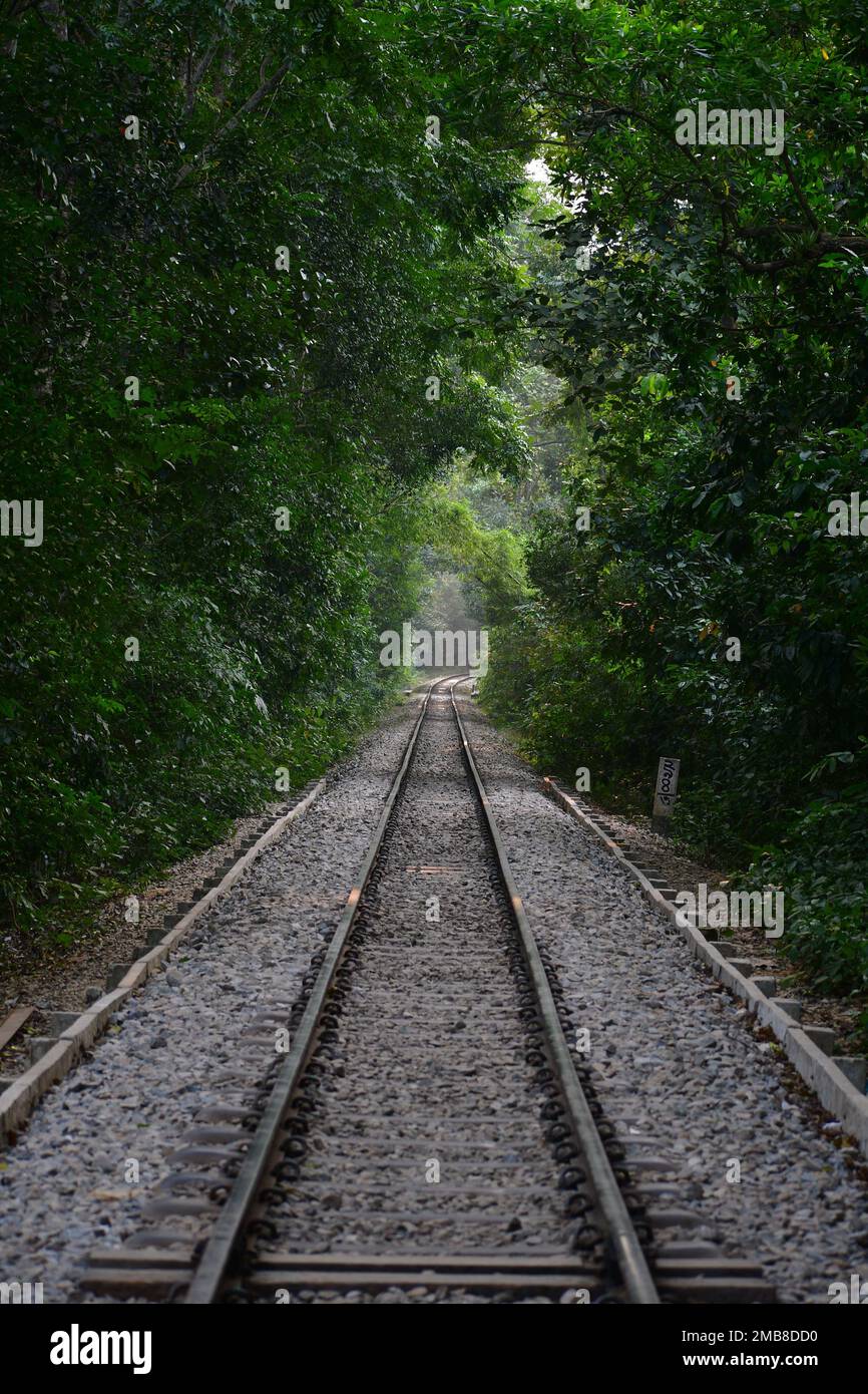 Railroad track through the forest make a tunnel. Shooting place of  Hollywood movie 'Around The world in 80 Days'- Lawachara tropical rainforest. Stock Photo