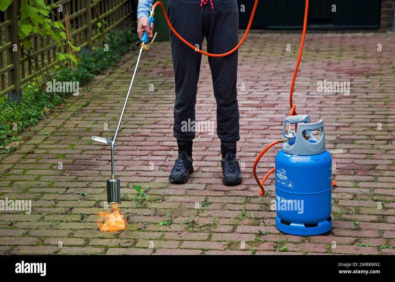 Weed in the garden hi-res stock photography and images - Alamy