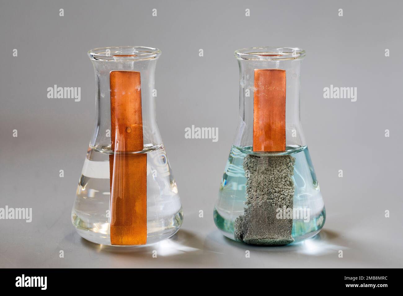 Reaction of a rod of copper in a solution of silver nitrate.rs Stock
