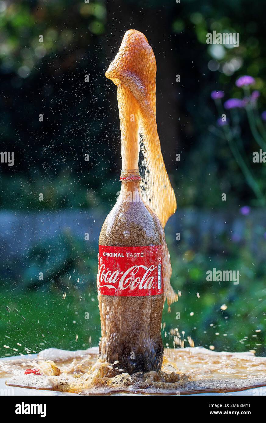 Coca-cola splashes out of the bottle after Mentos sweets were added Stock  Photo - Alamy