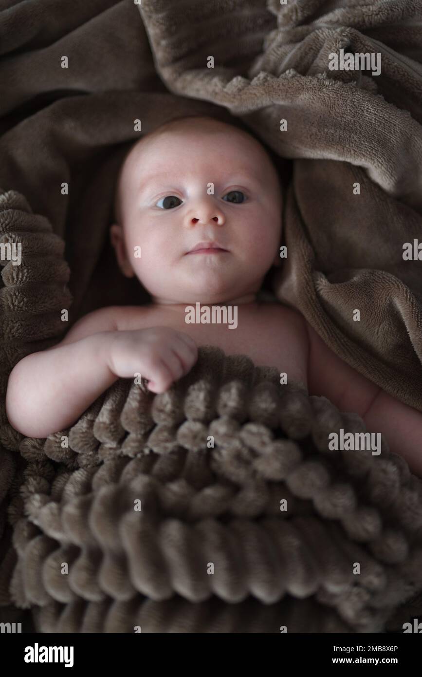 Newborn baby boy, wrapped in blanket, lying Stock Photo Alamy