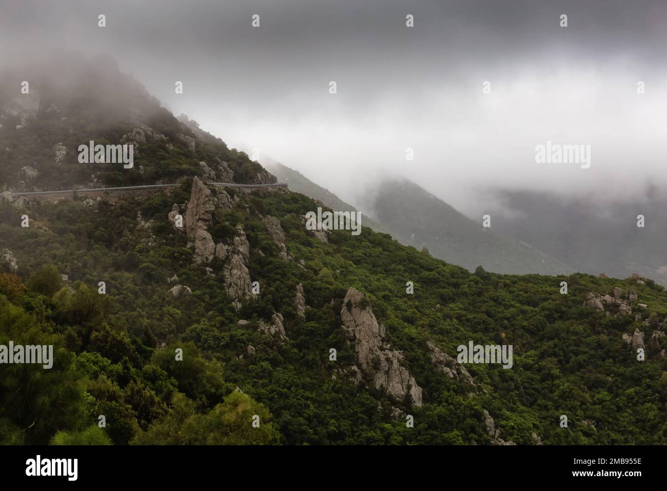 Rocky Mountain Landscape Background Stock Photo