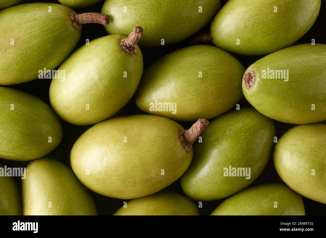 close-up macro view of ceylon olives or wild olives, elaeocarpus serratus, pile of smooth oval shaped tropical fruit in full frame, fruit background Stock Photo