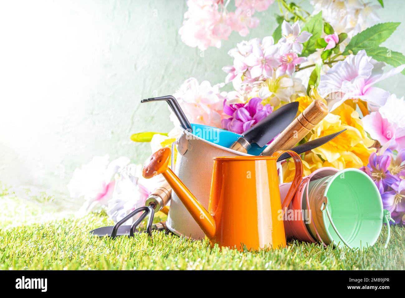 Spring Garden Tools Spring gardening concept. Springtime garden flowers and plants, with ...