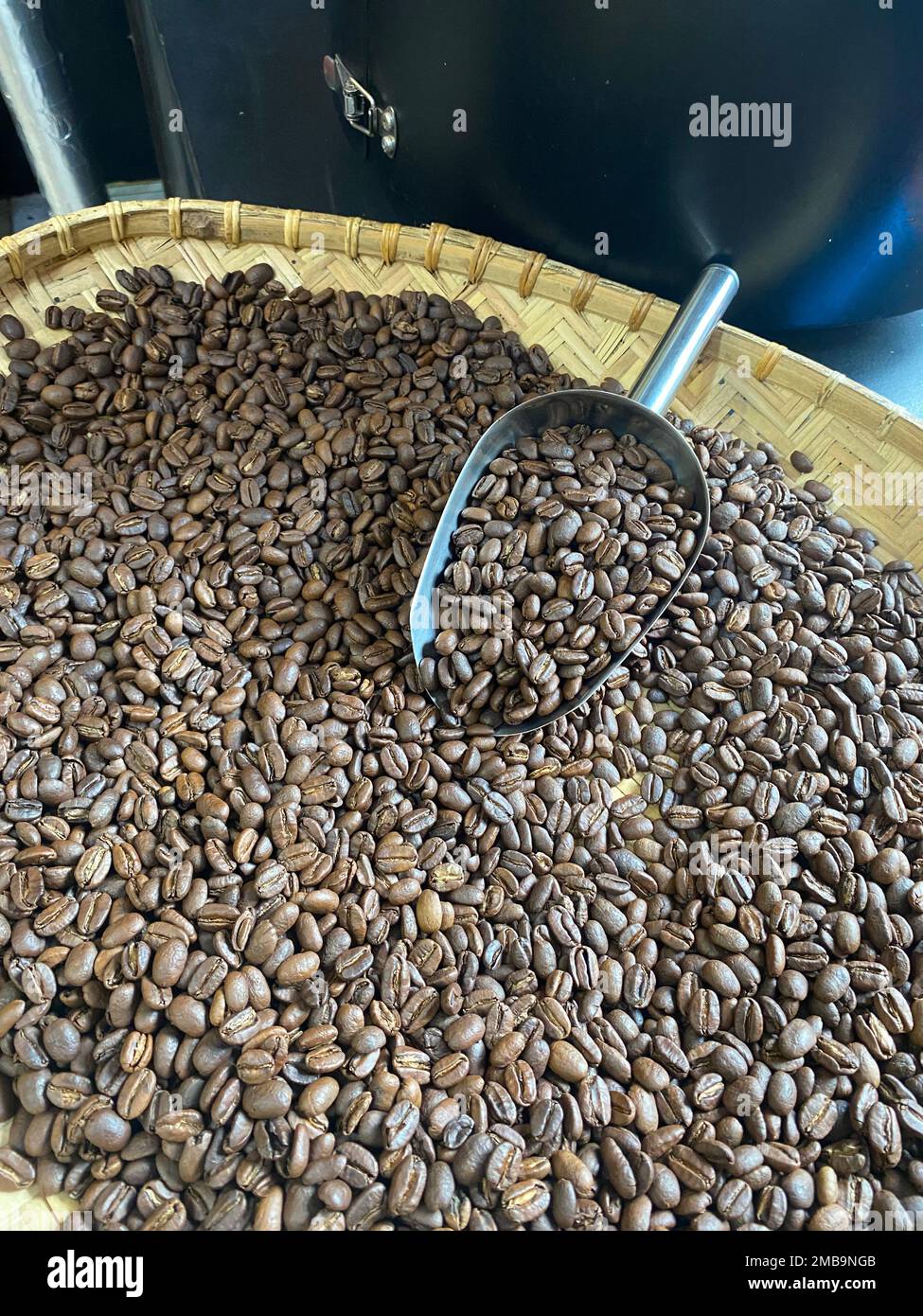 Coffee beans originating from Aceh, Central Gayo which are treated very