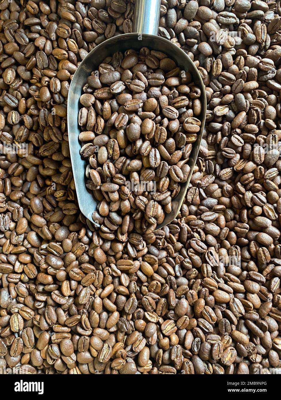 Stunning High-Quality Coffee Beans image