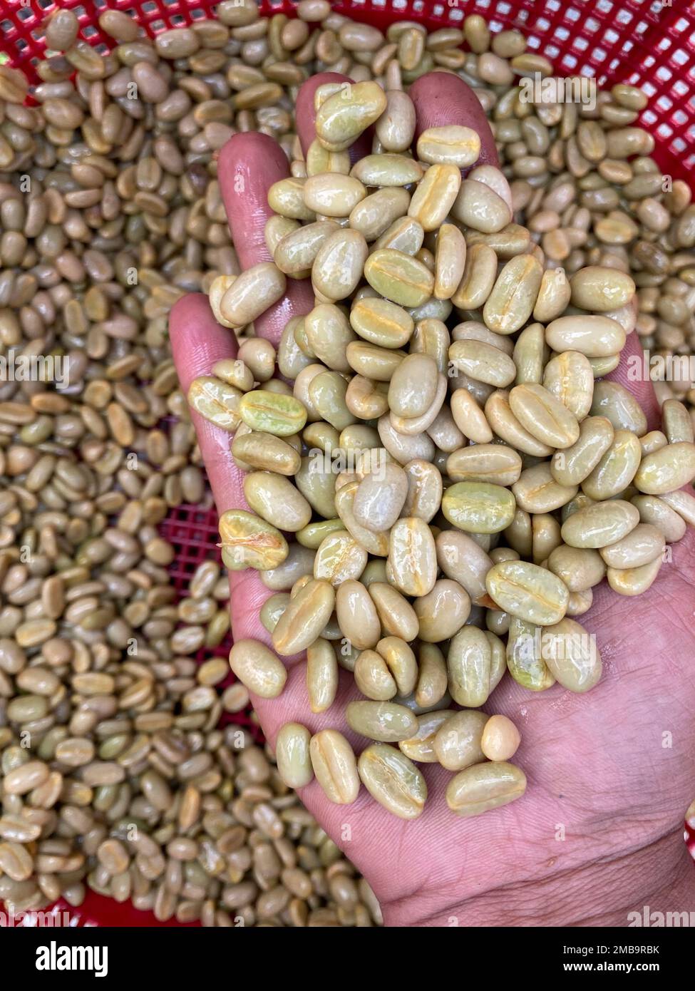 Image showcasing Luckin Coffee