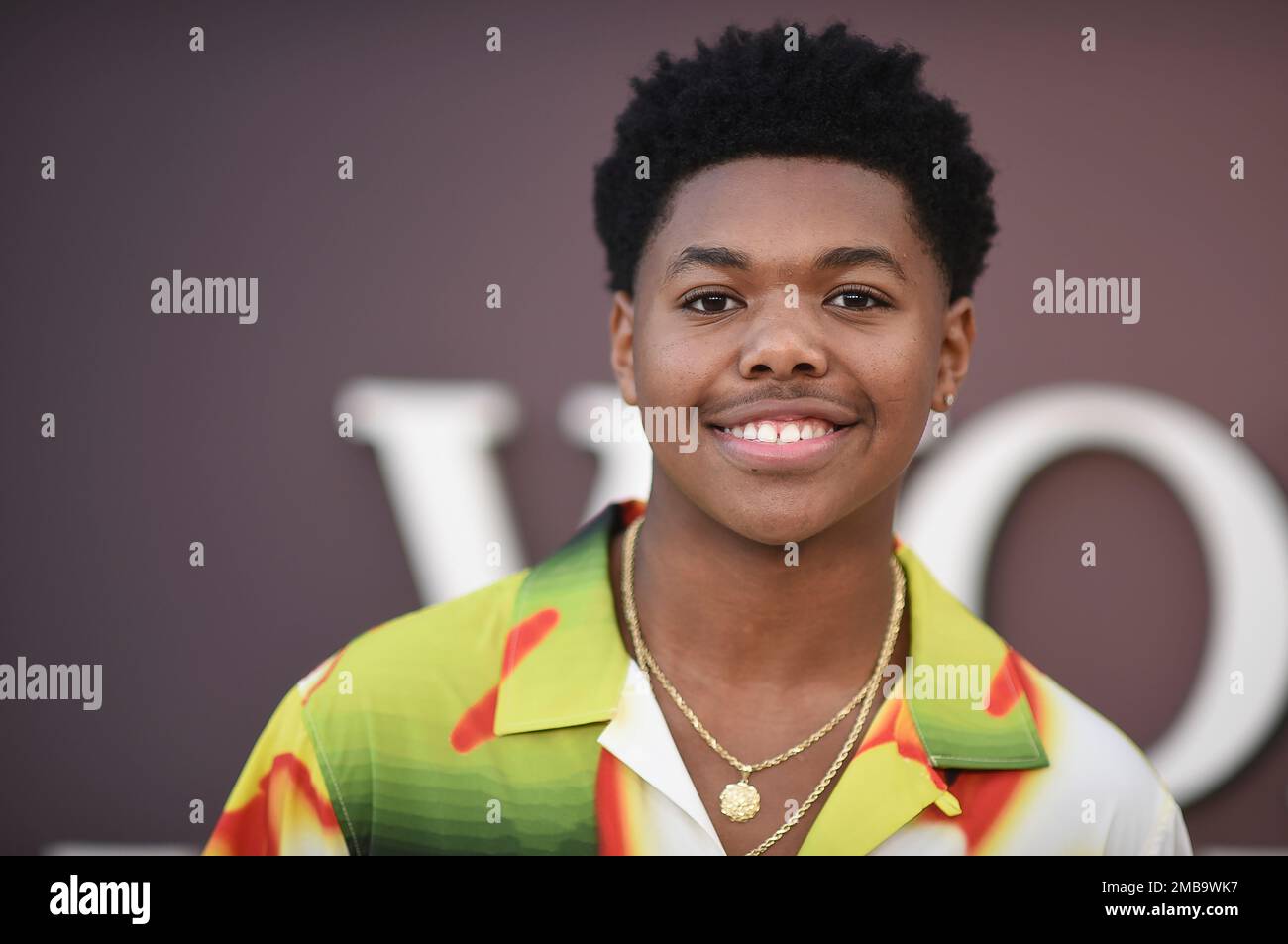 Cedric Joe attends a special screening of &ldquo;Women of the Movement&rdquo; on