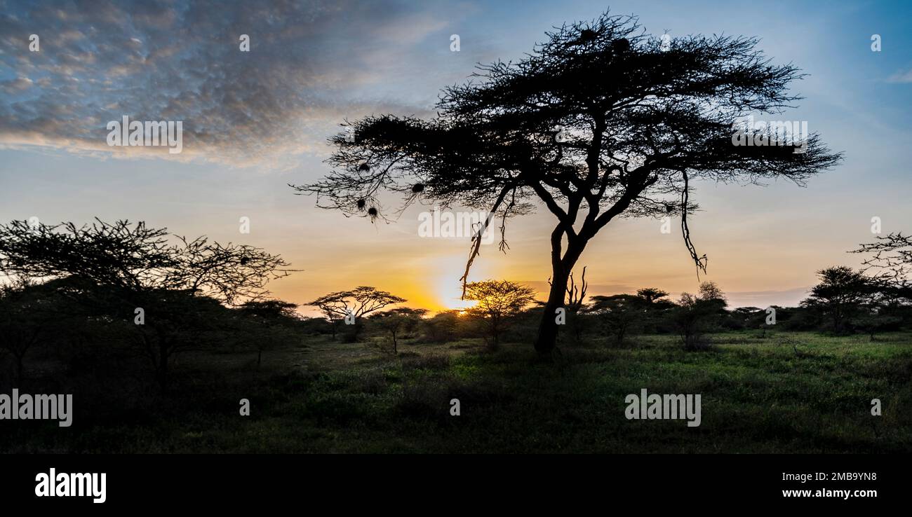 Parco africa hi-res stock photography and images - Alamy