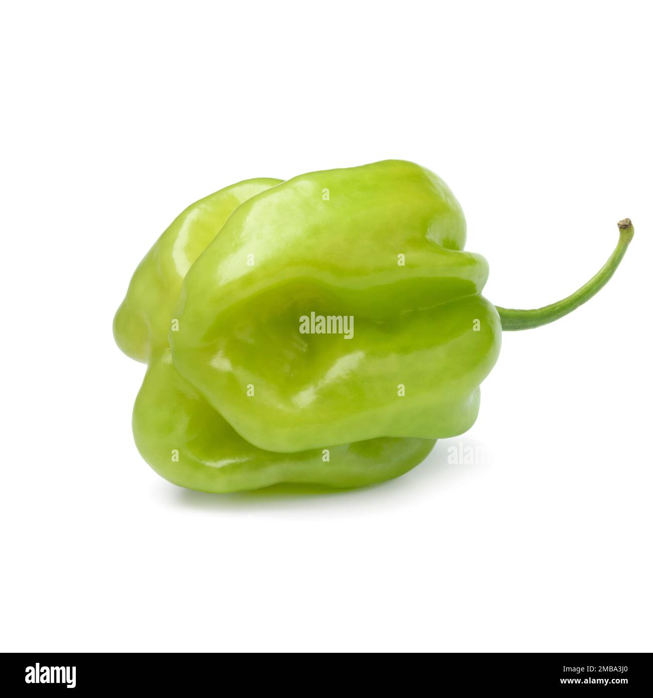 Single fresh green scorpion chili pepper isolated on white background Stock Photo