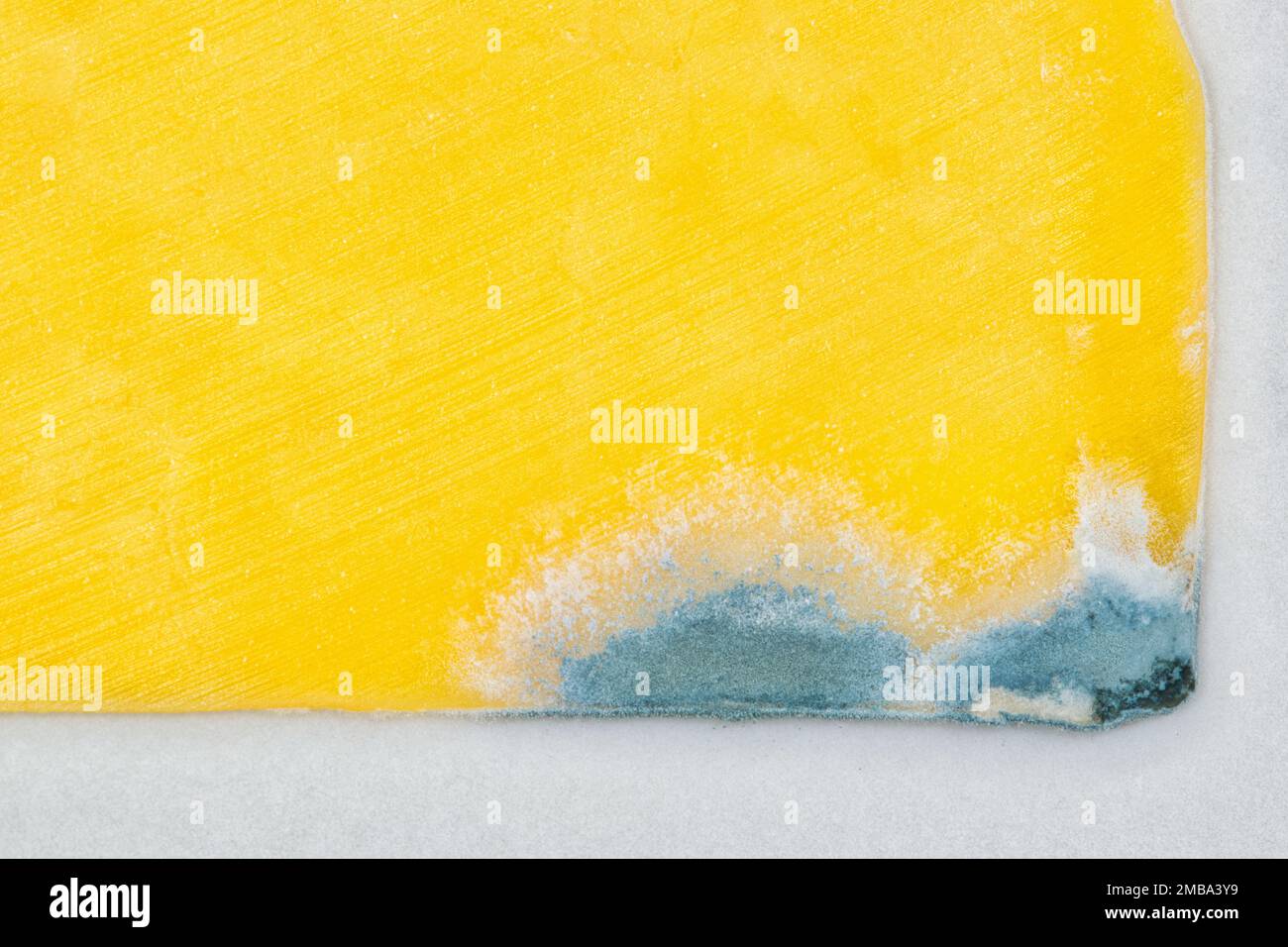 Cheddar cheese partial slice with mold growing on the corner. Flat lay concept, closeup macro with copy space. Stock Photo