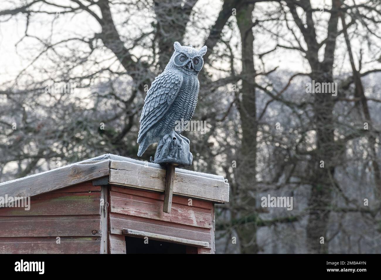 To deter pigeons and crows hires stock photography and images Alamy