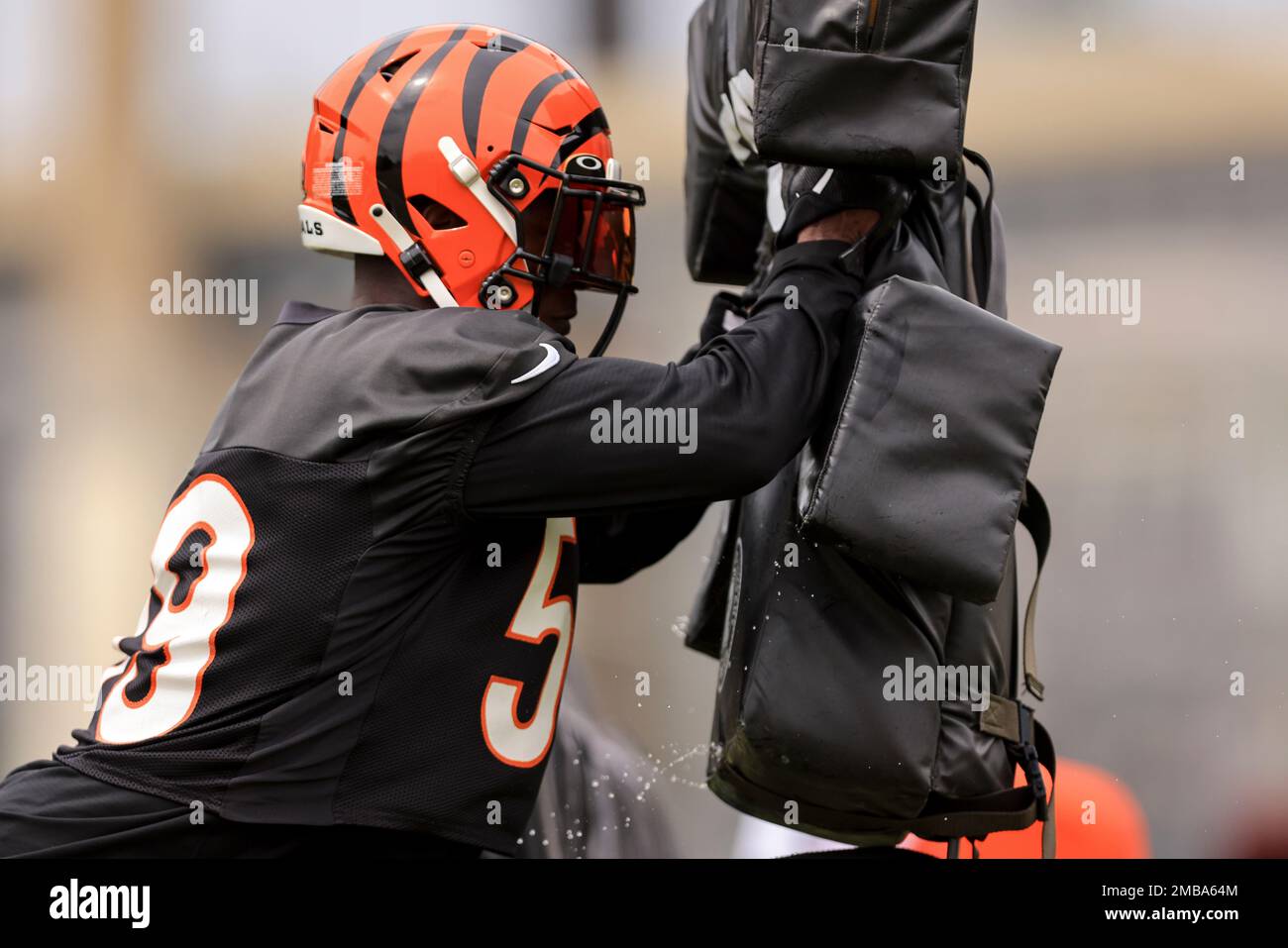 Cincinnati Bengals' Akeem Davis-Gaither (59) celebrates with Cam Sample  (96) during an NFL football game against the Baltimore Ravens, Sunday,  Sept. 17, 2023, in Cincinnati. (AP Photo/Jeff Dean Stock Photo - Alamy