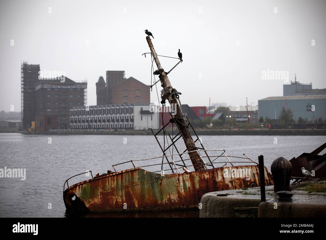 Looking across the East Float dock in Birkenhead towards an Urban Splash housing development at Wirral Waters Wirral Waters will form part of the Liverpool City Region Freeport, which was announced recently by the Conservative government. Stock Photo