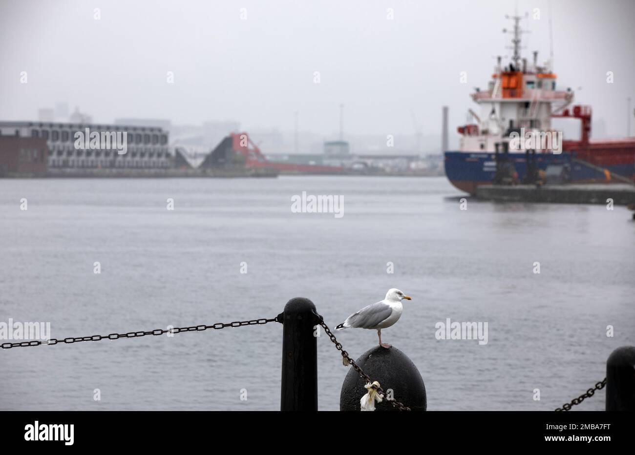 Looking across the East Float dock in Birkenhead, part of the Wirral Waters development on the banks of the river Mersey. Wirral Waters will form part of the Liverpool City Region Freeport, which was announced recently by the Conservative government. Stock Photo