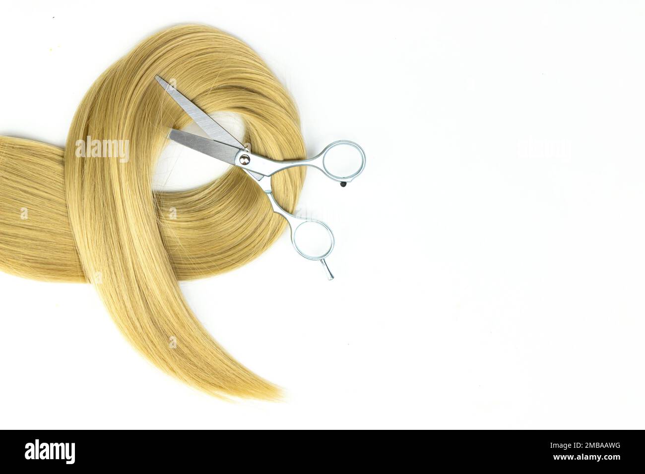 Hairdresser salon equipment concept, premium hairdressing set. Accessories for haircut with copy space Metal scissors on blond hair on white backgroun Stock Photo