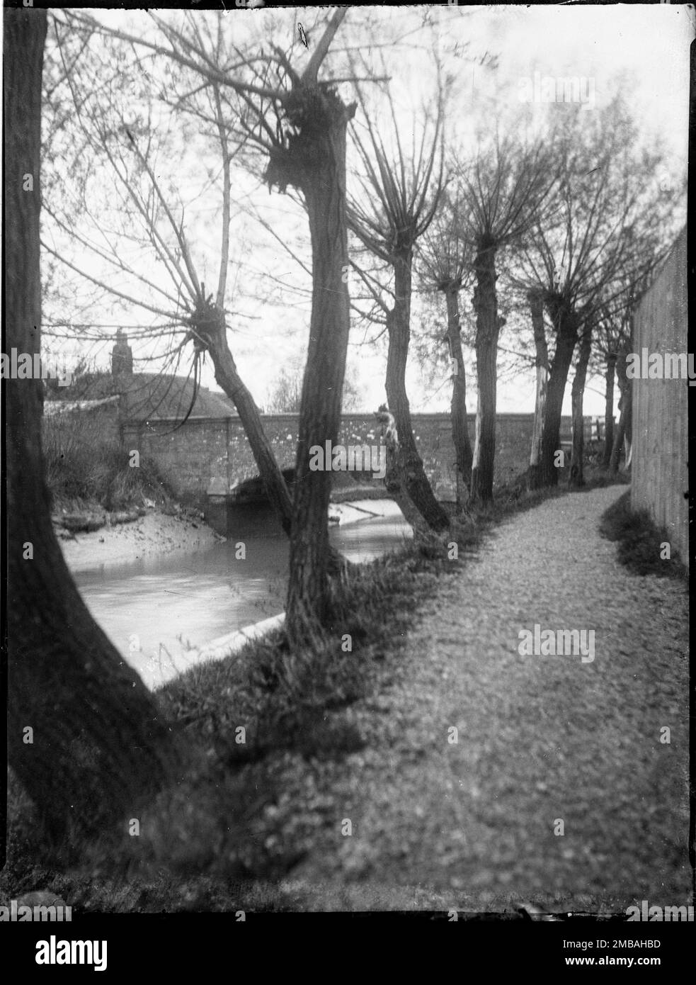 Willow Trees Bridge Country Black And White Stock Photos Images Alamy willow-trees-bridge-country-black-and-white-stock-photos-images-alamy