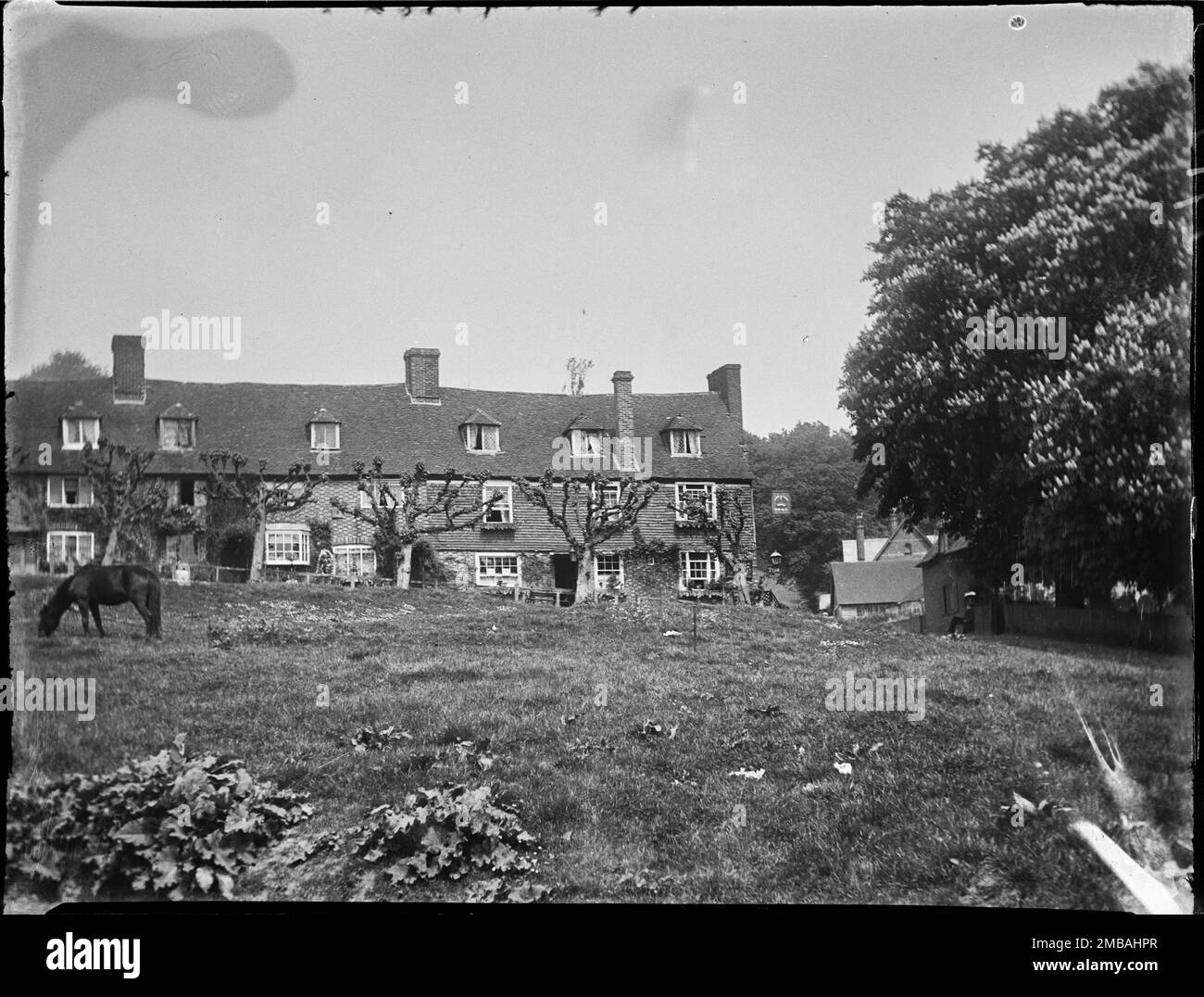 The Walks, Groombridge, Speldhurst, Tunbridge Wells, Kent, 1911. A view