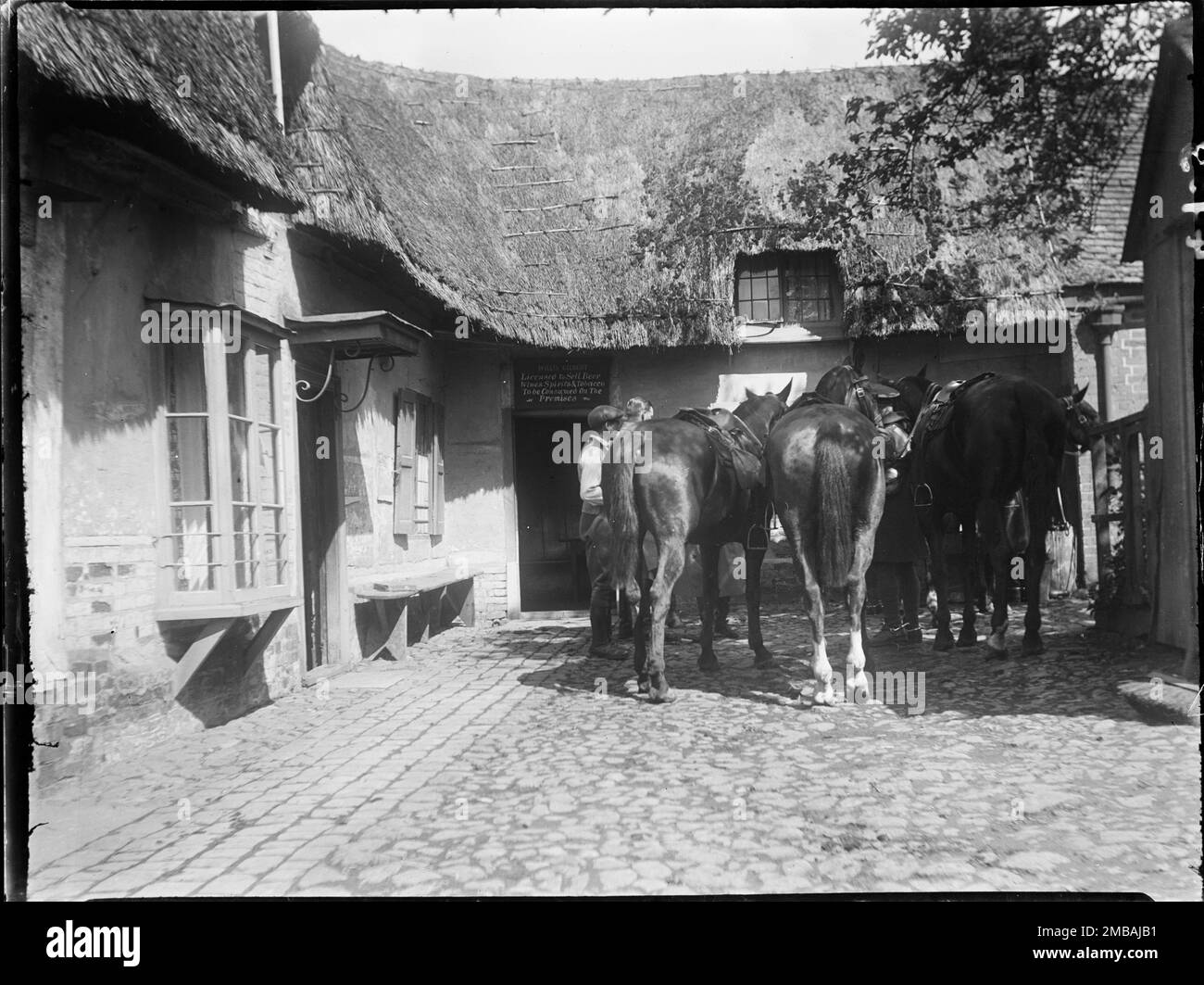 Royal Oak Inn, Wootton Rivers, Wiltshire, 1923. A group of soldiers' horses standing in the courtyard of the Royal Oak Inn. Stock Photo