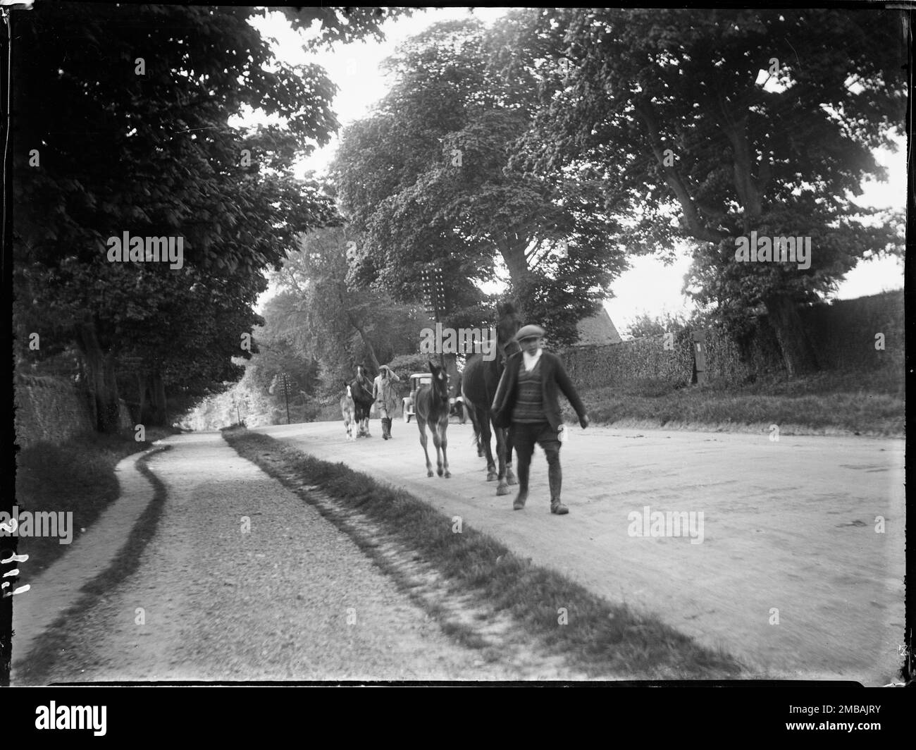 Fosse Way, Stow-on-the-Wold, Cotswold, Gloucestershire, 1928. Two horses and their colts being led by two men along the main road at the Stow Horse Fair. Stock Photo