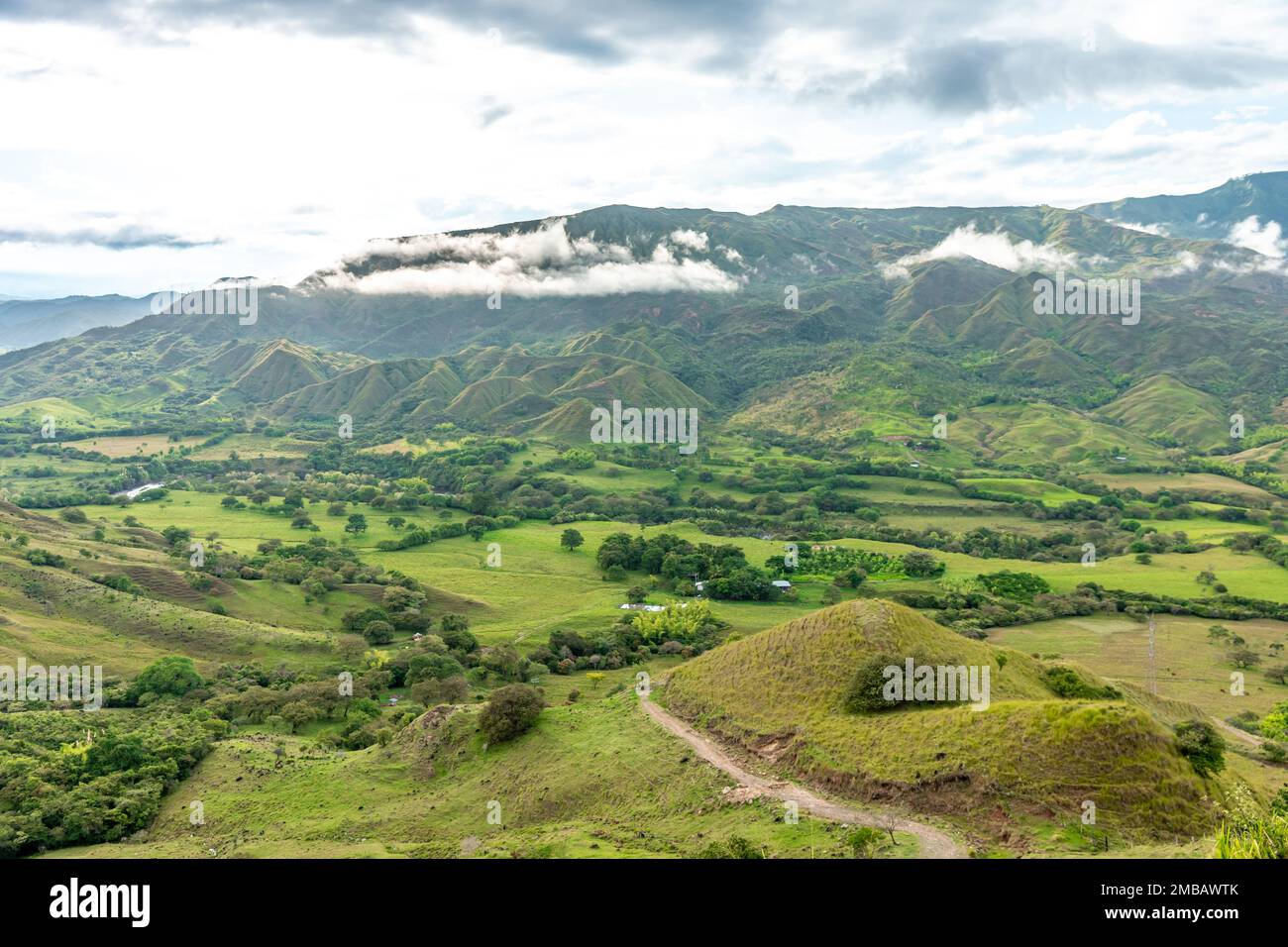 nature in the mountain landscape of Colombia Stock Photo - Alamy