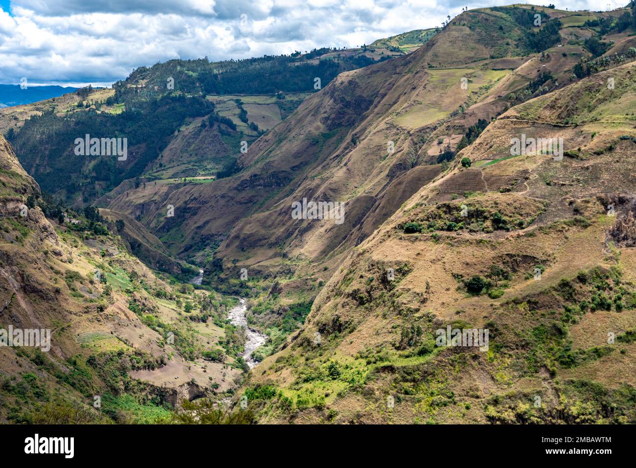 nature in the mountain landscape of Colombia Stock Photo - Alamy
