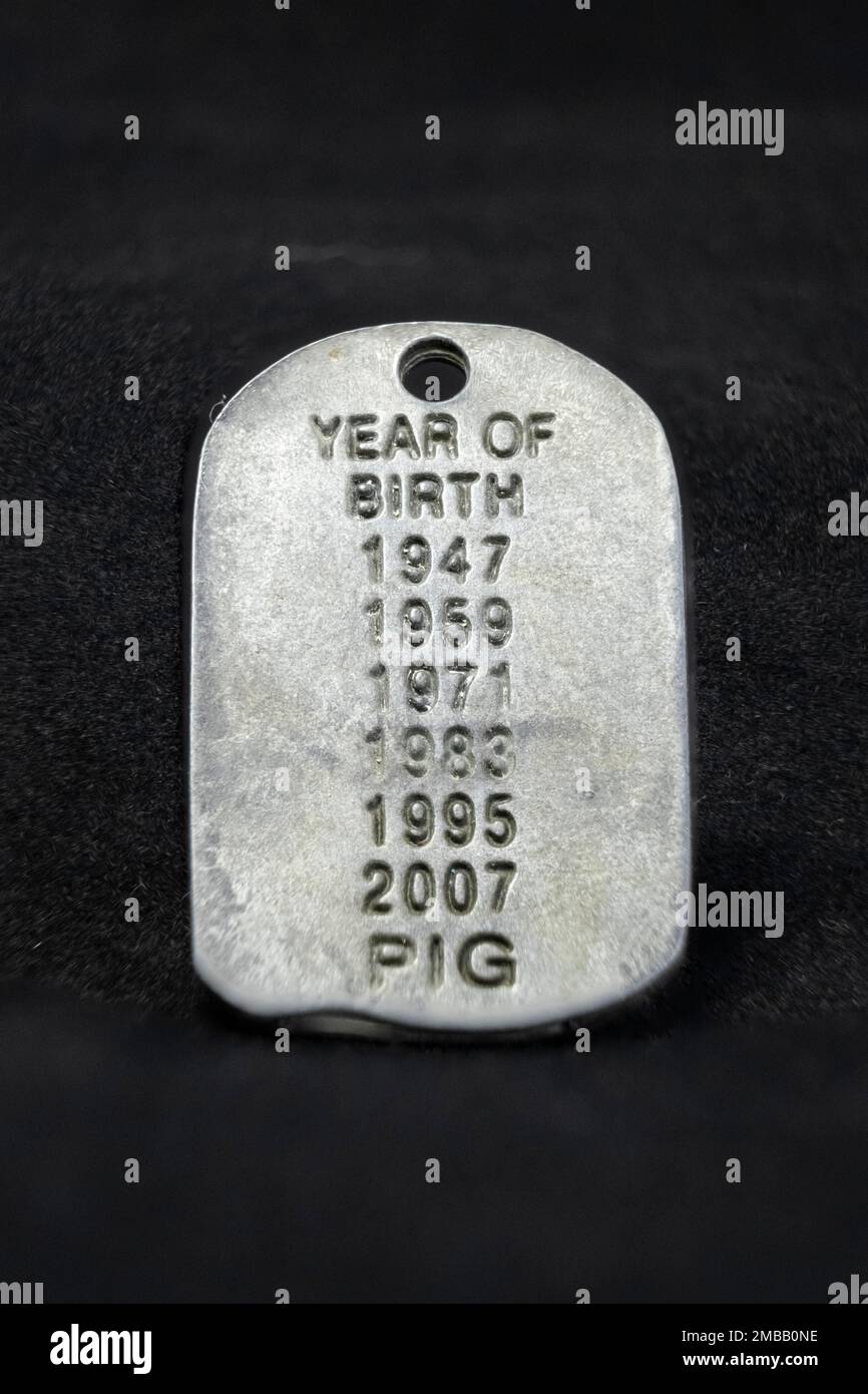Calendar signs of Chinese calendars and horological systems. Year of the Pig symbol in token. Pig year, sign Stock Photo