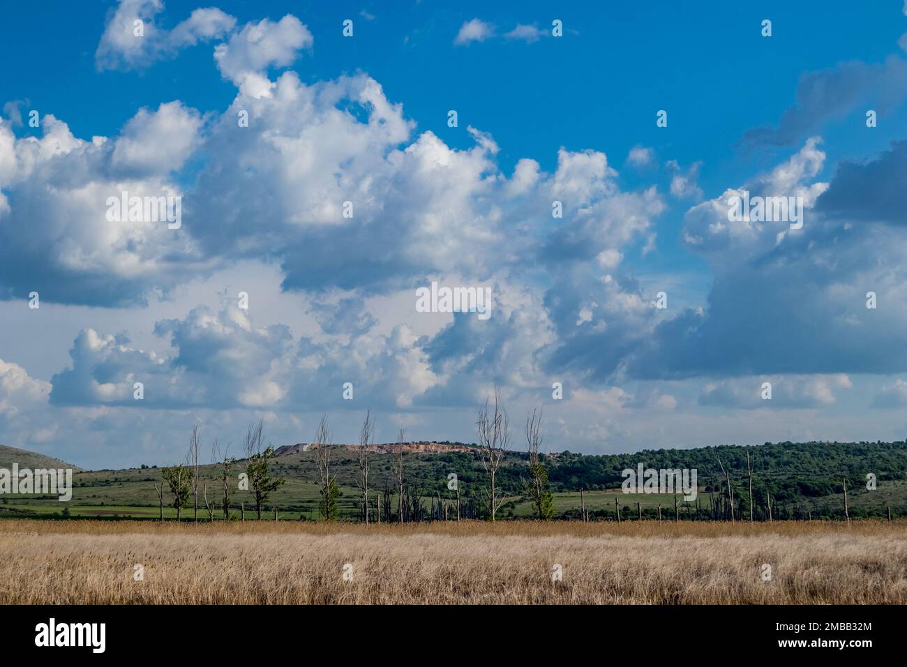 Cloudscape and distant high-voltage electrical poles. No people in this empty vastness, scenery view of Dragoman swamp, Western Bulgaria Stock Photo