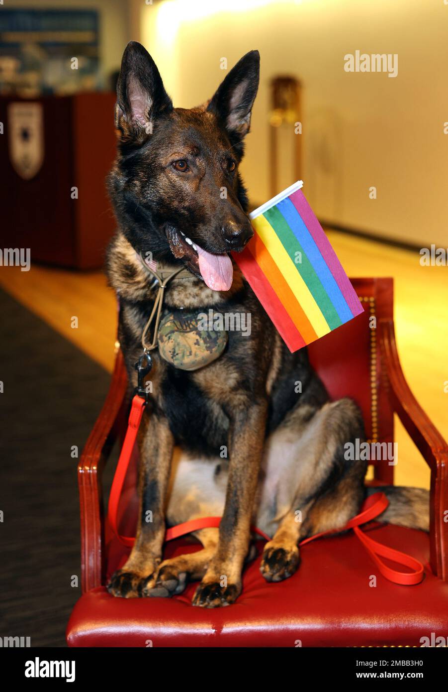 1978 the pride flag hi-res stock photography and images - Alamy