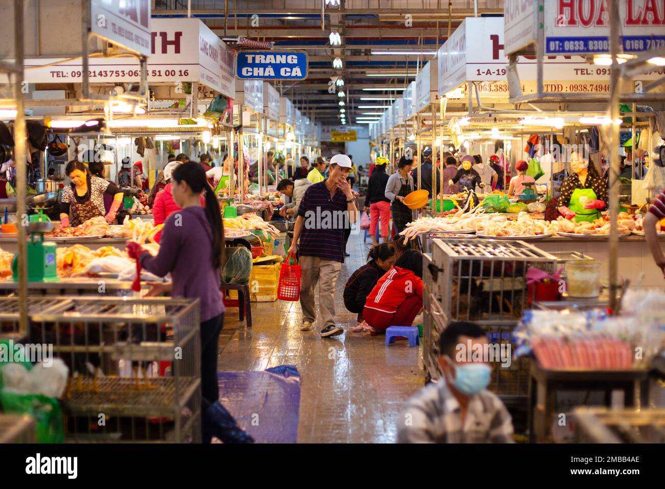 Portrait of Vietnamese Man in Market in Dalat , Vietnam Photography Stock Photo