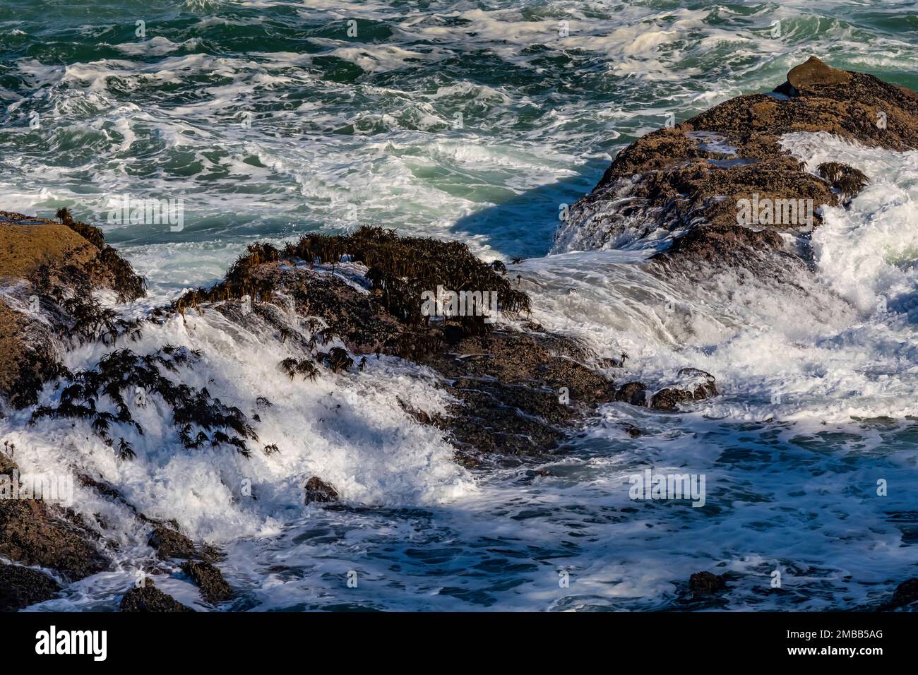 Powerful waves crashing at Shore Acres State Park on the Oregon Coast, USA Stock Photo
