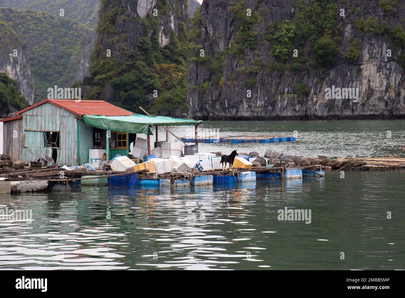 Ha Long Bay ( Halong bay ) View Over Landscape - boats float through the impressive landscape . Ha Long Bay , Vietnam Stock Photo