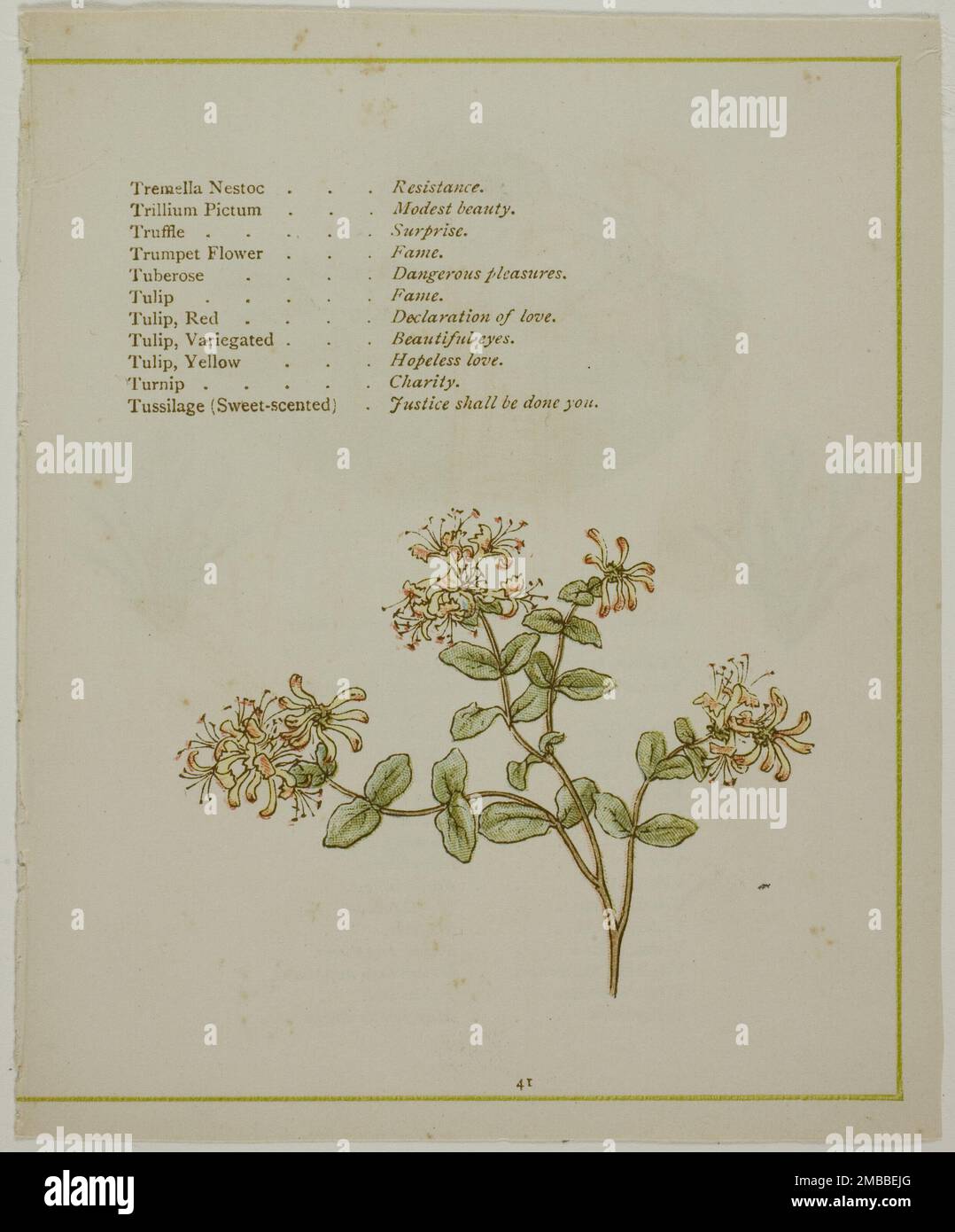 Valerian Through Volkamenia, from The Illuminated Language of Flowers, published 1884. Probably by Edmund Evans after Kate Greenaway. Stock Photo