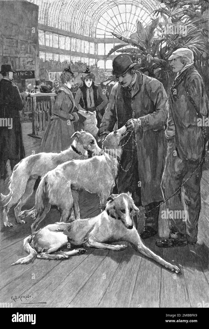 ''The Crystal Palace Dog Show -- Russian Wolf Hounds awaiting their turn to Enter the Ring', 1890. From &quot;The Graphic. An Illustrated Weekly Newspaper&quot;, Volume 42. July to December, 1890. Stock Photo