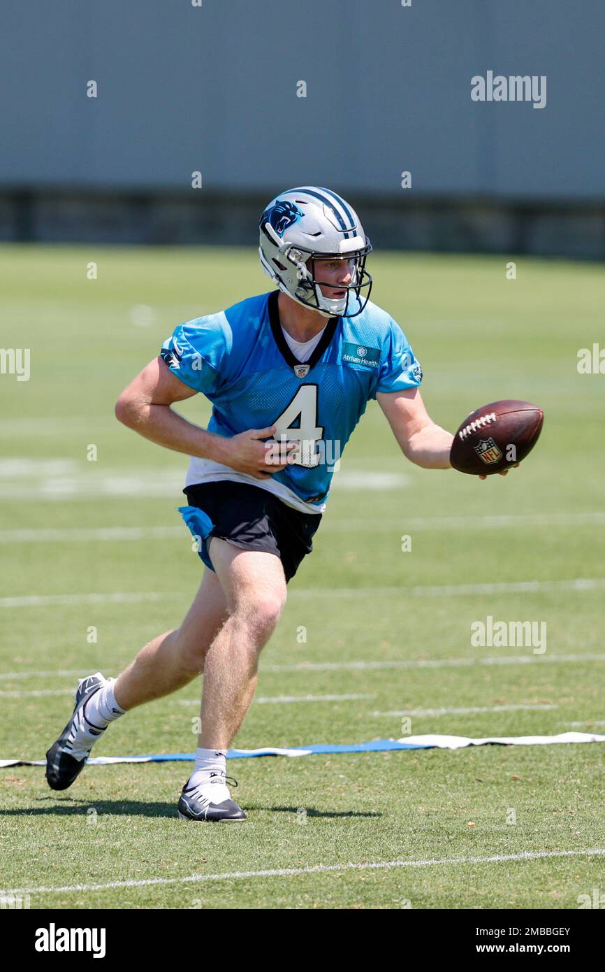 Carolina panthers davis jersey hot sale