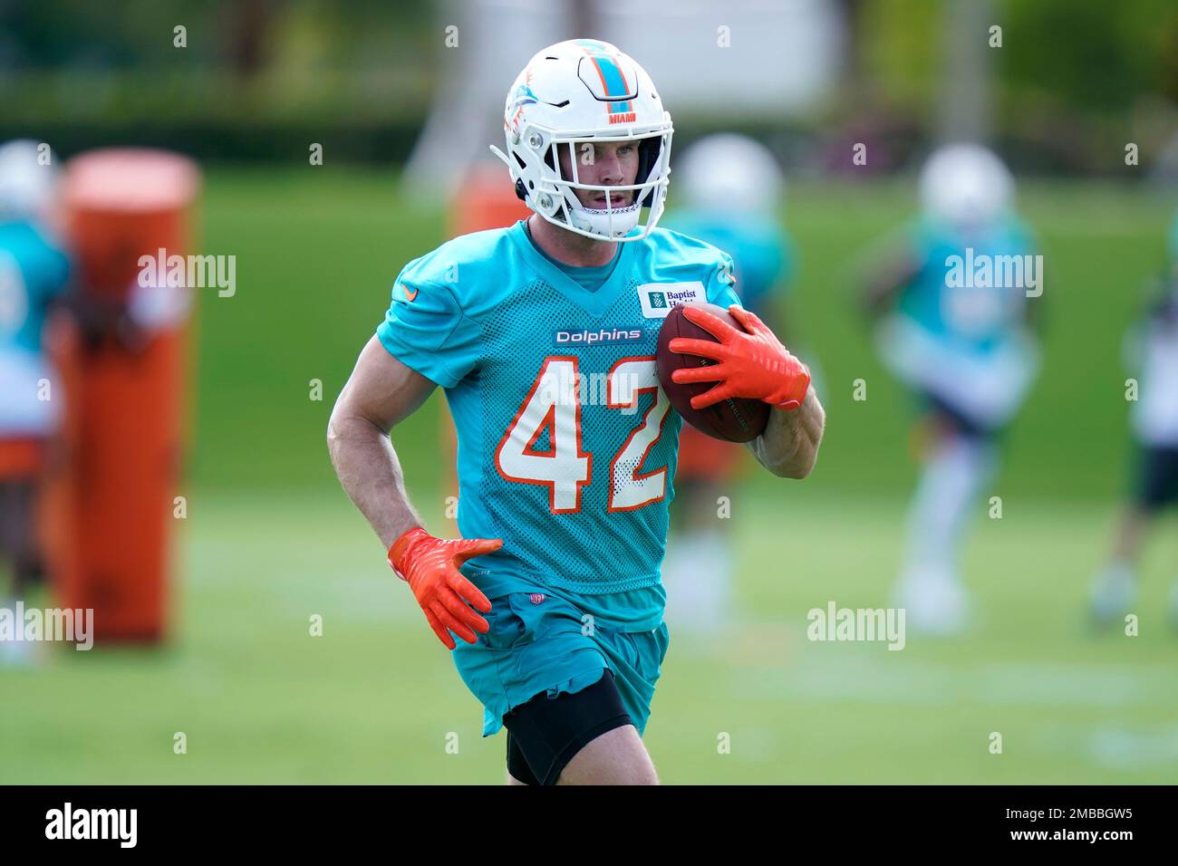 Miami Dolphins safety Clayton Fejedelem (42) smiles as he celebrates during  an NFL football game against the New York Giants, Sunday, Dec. 5, 2021, in  Miami Gardens, Fla. (AP Photo/Doug Murray Stock