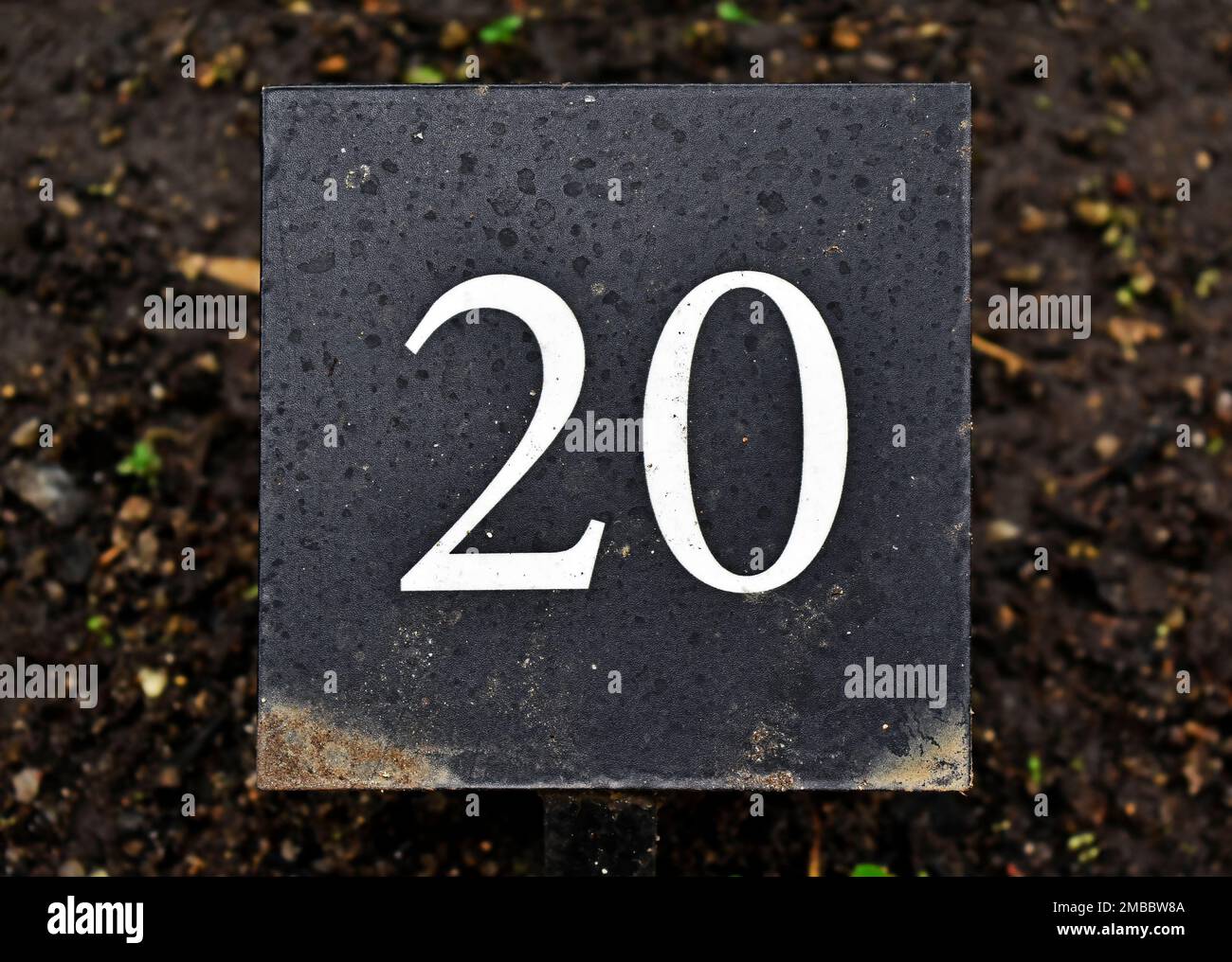 WHY IS 20 USED FOR SPACES visual data 4