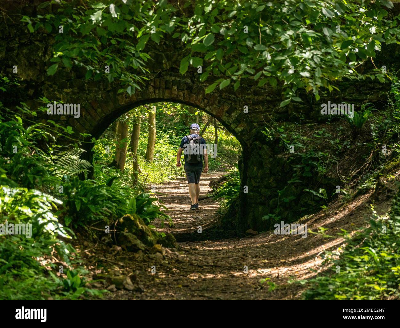 Walker on footpath through single arch stone and brick bridge over old trackway in Ticknall Limeyards, Derbyshire, England, UK. Stock Photo