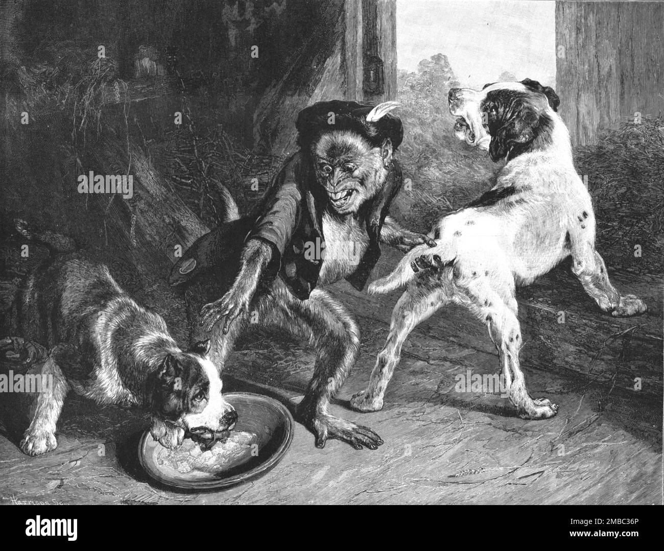 ''The Intruding Puppies, after Sir Edwin Landseer, RA', 1891. From &quot;The Graphic. An Illustrated Weekly Newspaper&quot;, Volume 44. July to December, 1891. Stock Photo
