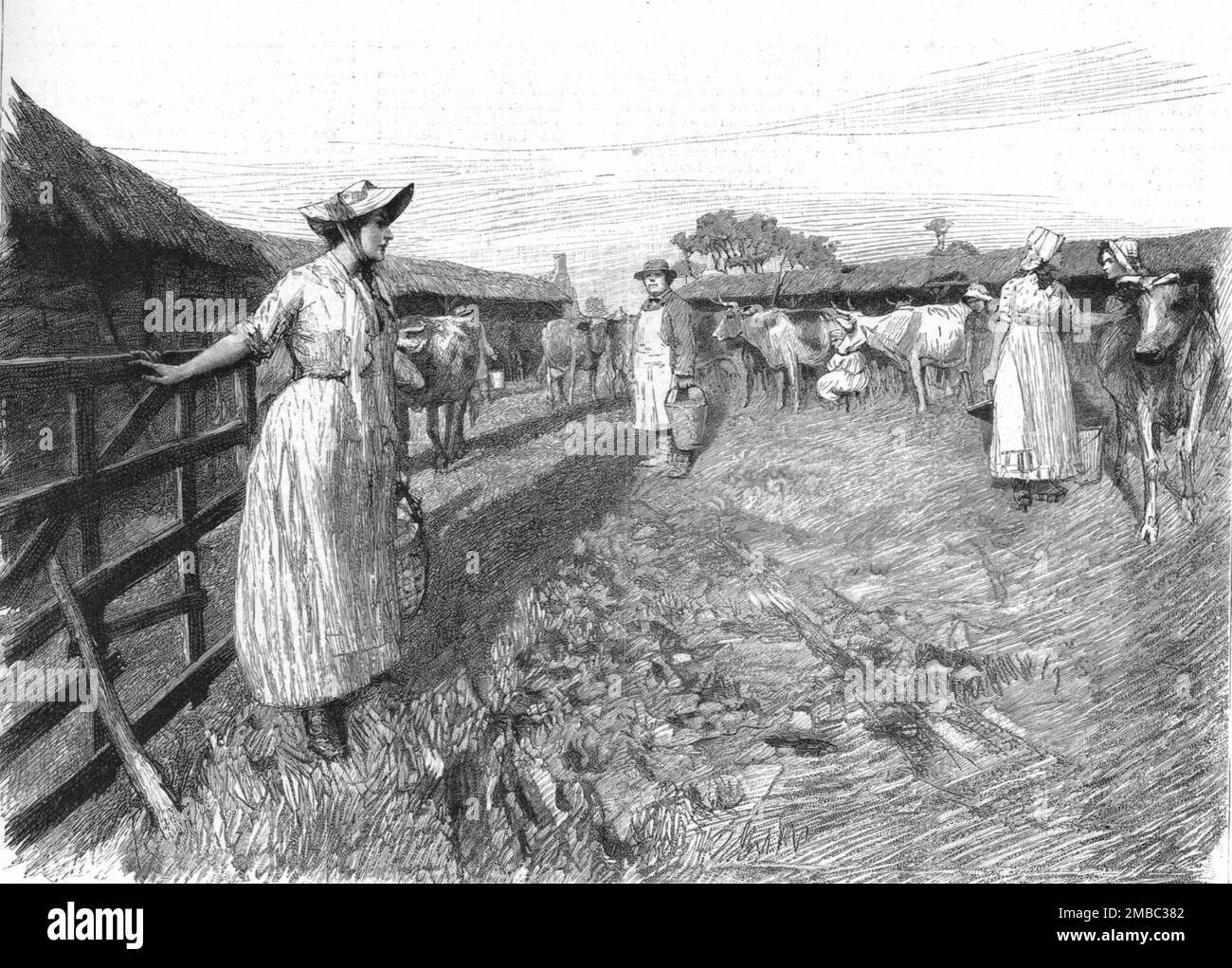 ''Tess of the D'Urbervilles&quot;, By Thomas Hardy; &quot;Tess in Dairyman Dick's yard &quot;', 1891. From &quot;The Graphic. An Illustrated Weekly Newspaper&quot;, Volume 44. July to December, 1891. Stock Photo